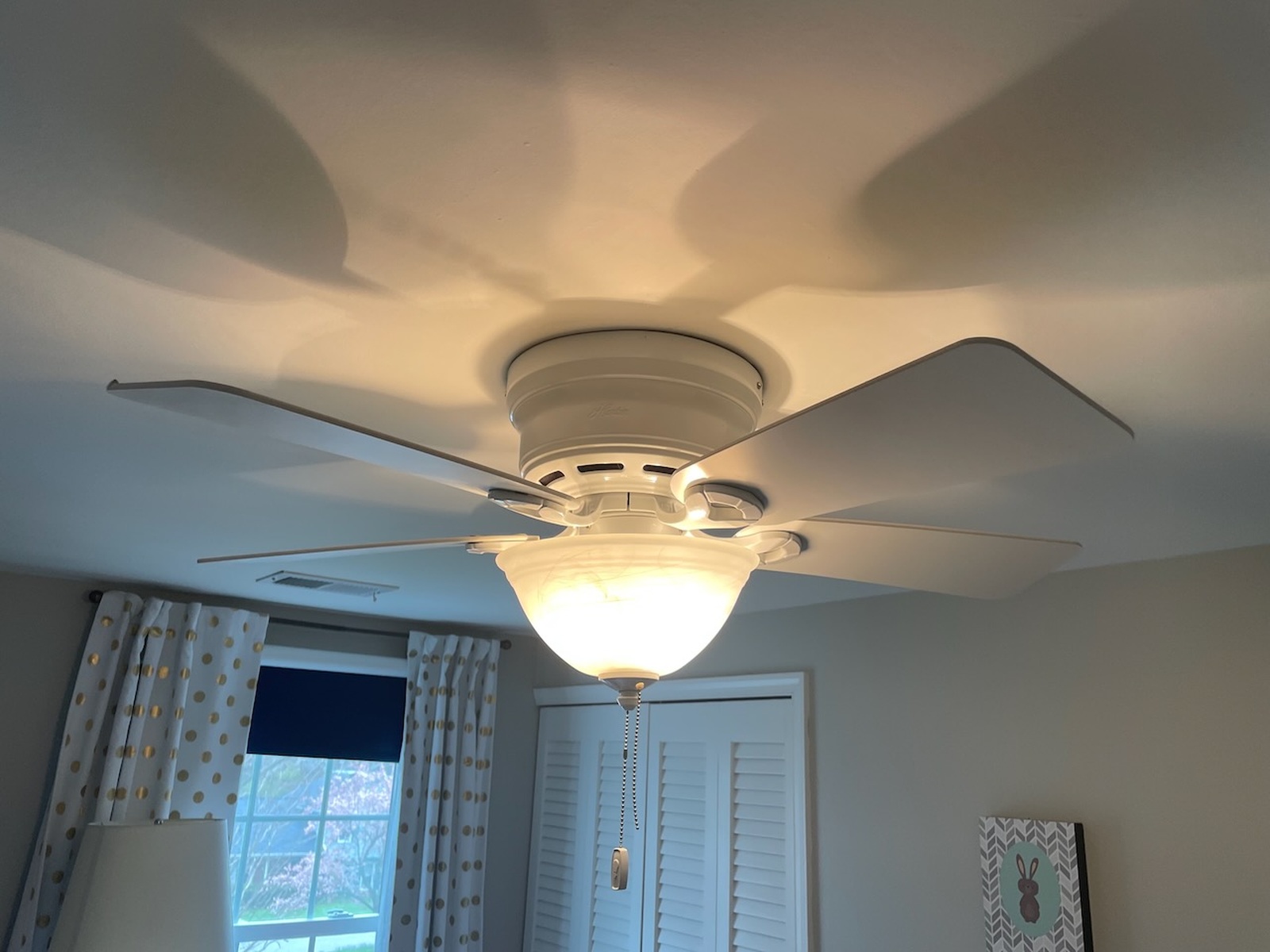 Ceiling Fan With Light Fixture In Room Living Space Clarksville Md